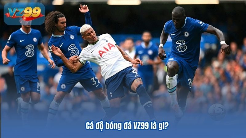 Cá độ bóng đá VZ99 là gi?