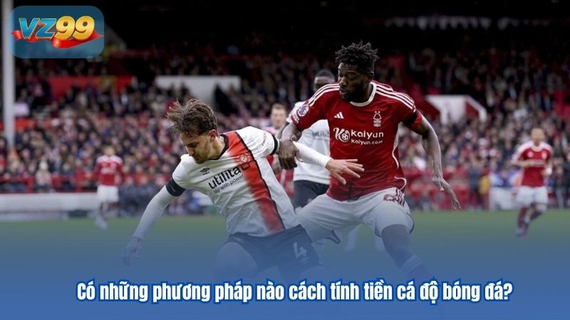 Có những phương pháp nào cách tính tiền cá độ bóng đá?