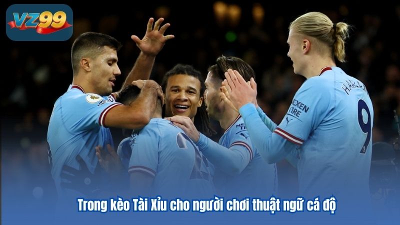 Trong kèo Tài Xỉu cho người chơi thuật ngữ cá độ